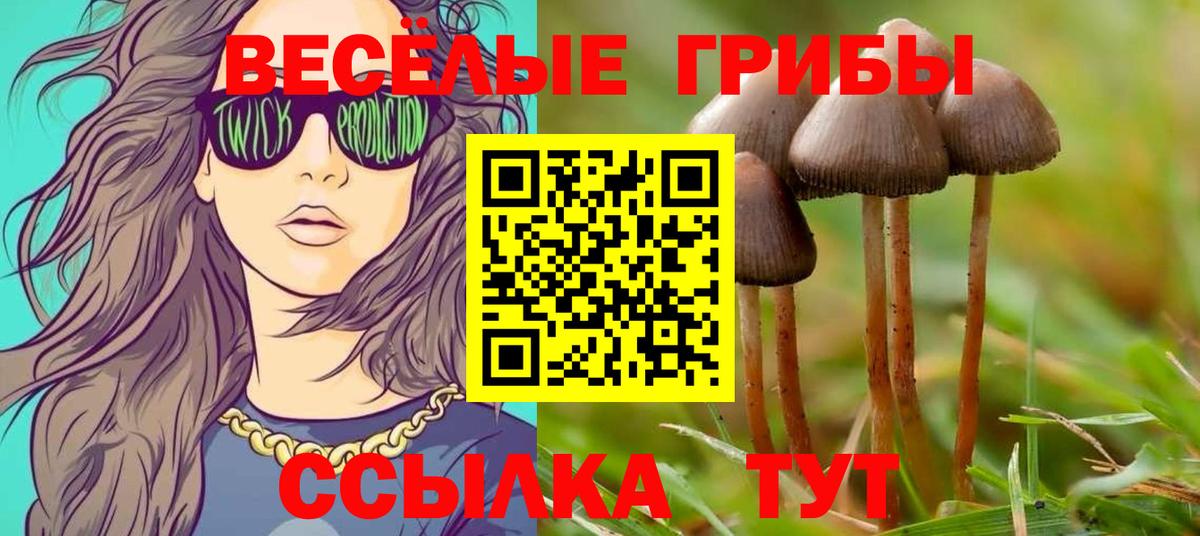 Галлюциногенные грибы мухоморы  Вход с VPN  Саяногорск 